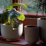 Tradition - Collect Flowerpot - Görsel 2