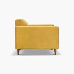 Delphine Cane Velvet Accent Chair - Görsel 3