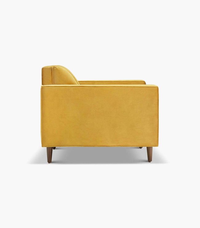 Delphine Cane Velvet Accent Chair - Görsel 3