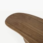 Sharma - Coffee Table - Görsel 2