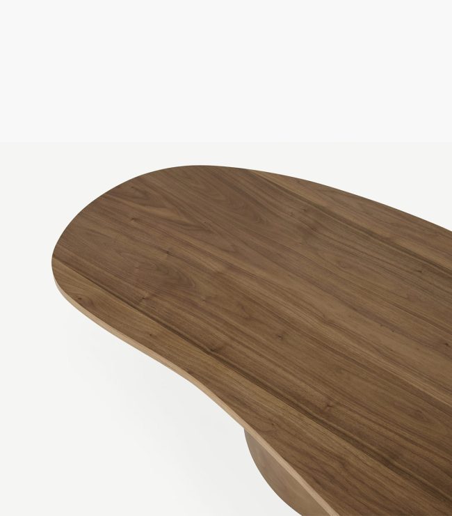 Sharma - Coffee Table - Görsel 2