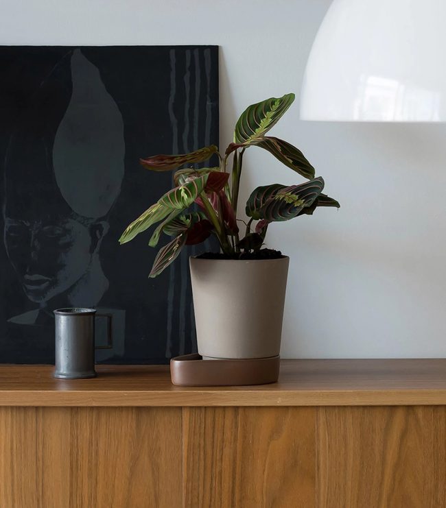 Sip Plant Pot - Görsel 4